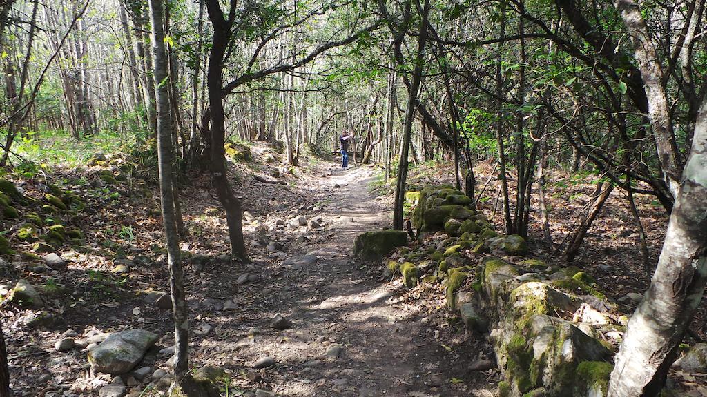 Apartamentos El Capricho Águeda del Caudillo Εξωτερικό φωτογραφία